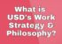 What is UCD’s Work Strategy and Philosophy?